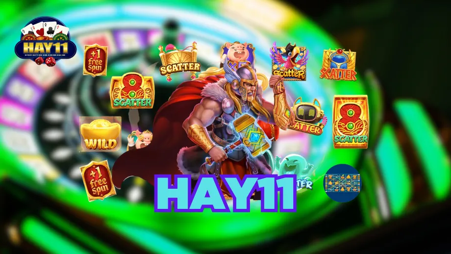 HAY11